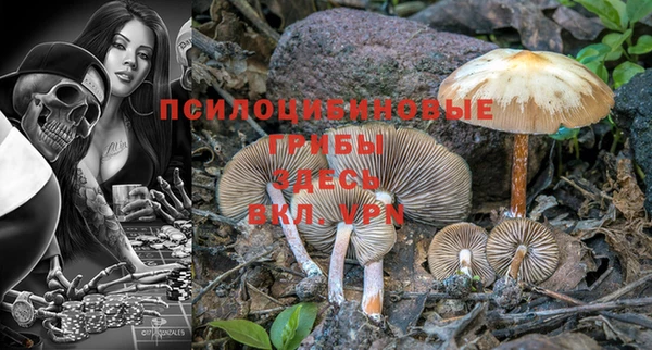 гашик Михайловка