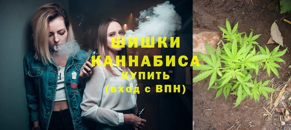 PSILOCYBIN Белокуриха