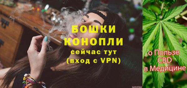 гашик Михайловка