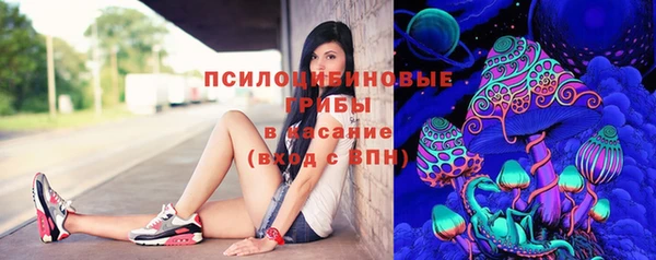 гидропоника Мегион