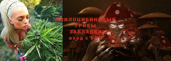 PSILOCYBIN Белокуриха