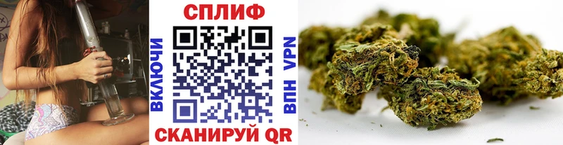 Конопля тримм  наркошоп  Никольск 